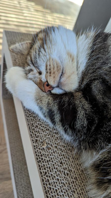 kat Mix