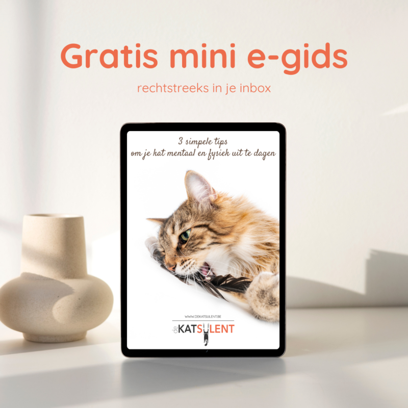 De Katsulent