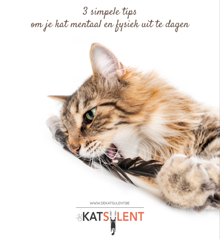 De Katsulent