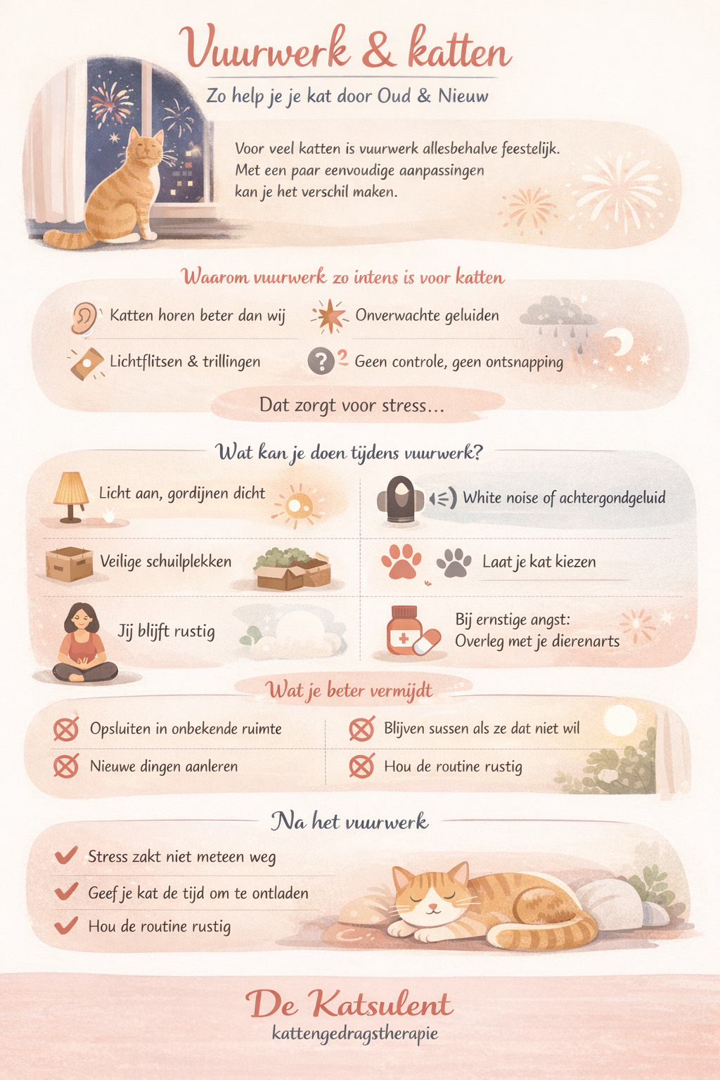infographic over katten en vuurwerkstress